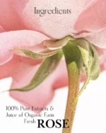 Shiv  Aatman Pure & Original Rose Aloevera Face Gel - Image 6