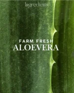 Shiv  Aatman Pure & Original Rose Aloevera Face Gel - Image 5