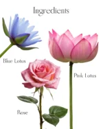 Shiv Aatman Pure & Original Rose Face Mask - Image 10